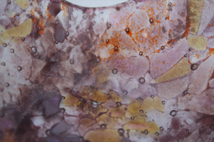 Mauve Swirls